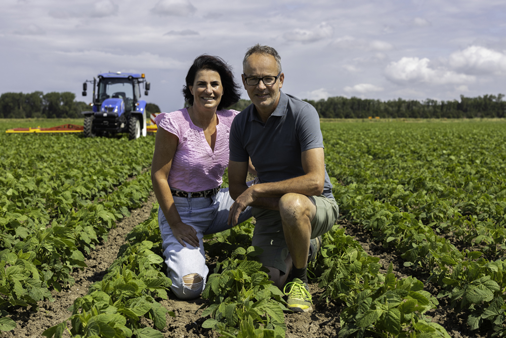 let-assortiment-banners